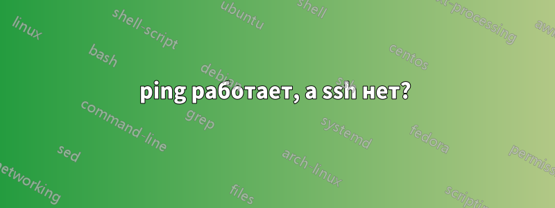 ping работает, а ssh нет?