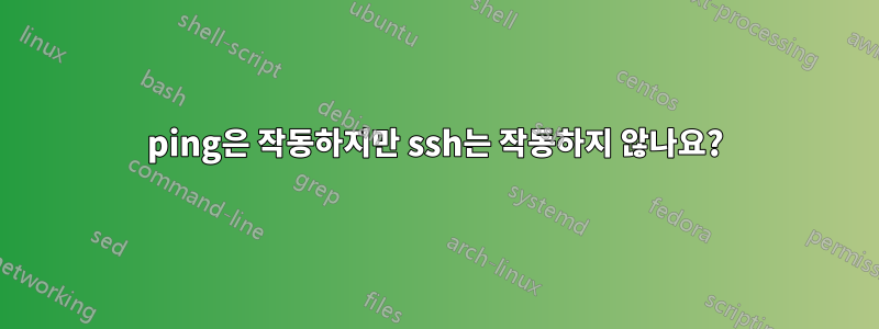 ping은 작동하지만 ssh는 작동하지 않나요?