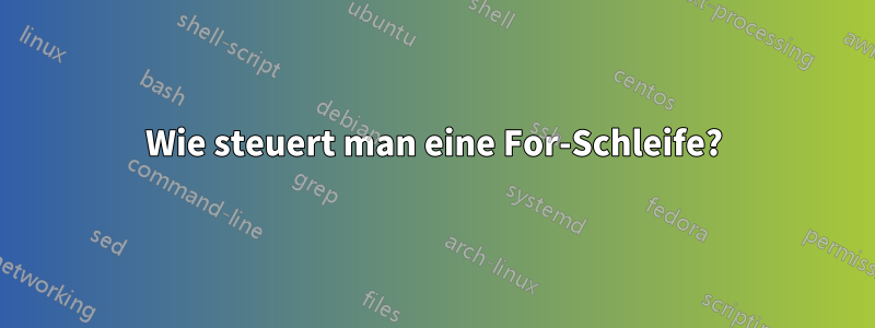 Wie steuert man eine For-Schleife?