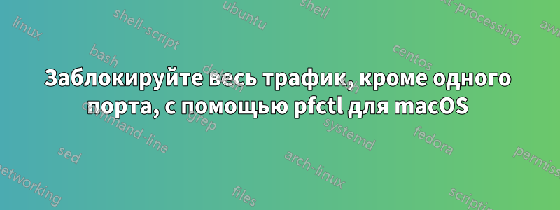 Заблокируйте весь трафик, кроме одного порта, с помощью pfctl для macOS