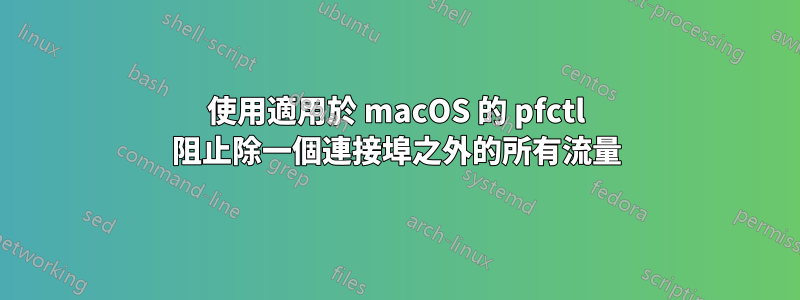使用適用於 macOS 的 pfctl 阻止除一個連接埠之外的所有流量