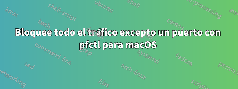 Bloquee todo el tráfico excepto un puerto con pfctl para macOS