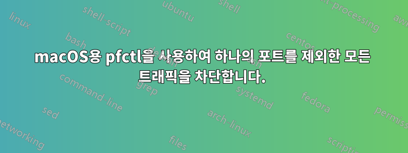 macOS용 pfctl을 사용하여 하나의 포트를 제외한 모든 트래픽을 차단합니다.