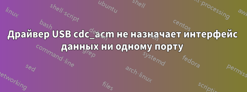 Драйвер USB cdc_acm не назначает интерфейс данных ни одному порту