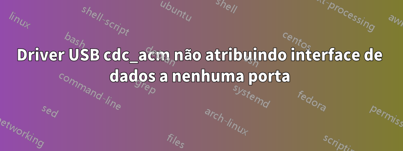 Driver USB cdc_acm não atribuindo interface de dados a nenhuma porta