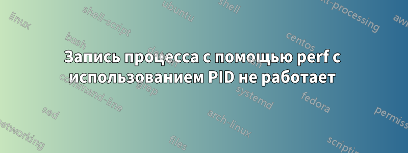 Запись процесса с помощью perf с использованием PID не работает