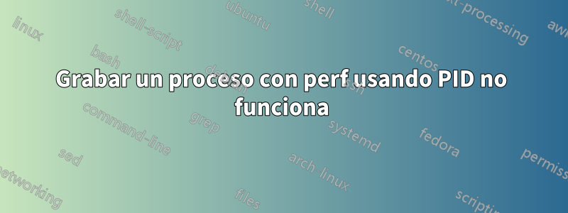 Grabar un proceso con perf usando PID no funciona