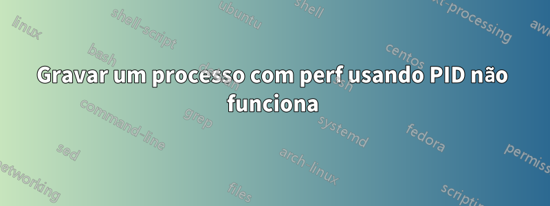 Gravar um processo com perf usando PID não funciona