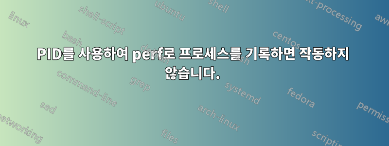 PID를 사용하여 perf로 프로세스를 기록하면 작동하지 않습니다.