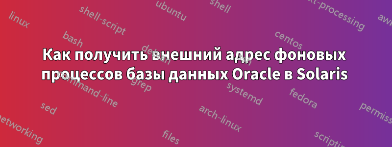 Как получить внешний адрес фоновых процессов базы данных Oracle в Solaris