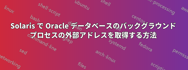 Solaris で Oracle データベースのバックグラウンド プロセスの外部アドレスを取得する方法