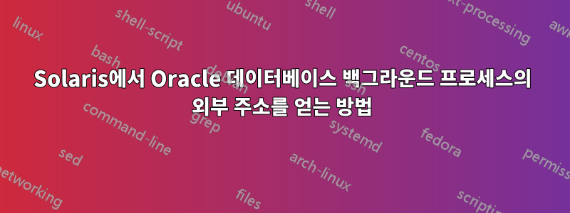 Solaris에서 Oracle 데이터베이스 백그라운드 프로세스의 외부 주소를 얻는 방법