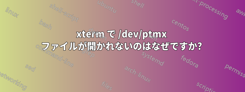 xterm で /dev/ptmx ファイルが開かれないのはなぜですか?