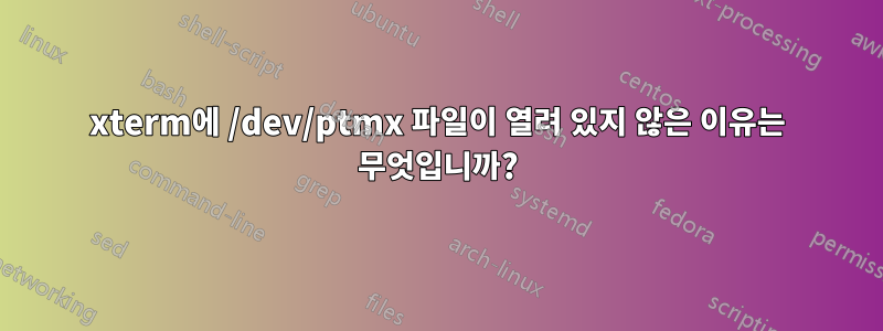 xterm에 /dev/ptmx 파일이 열려 있지 않은 이유는 무엇입니까?