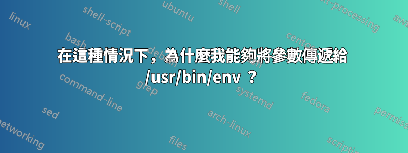 在這種情況下，為什麼我能夠將參數傳遞給 /usr/bin/env ？
