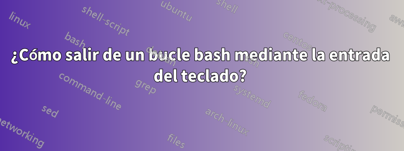 ¿Cómo salir de un bucle bash mediante la entrada del teclado?