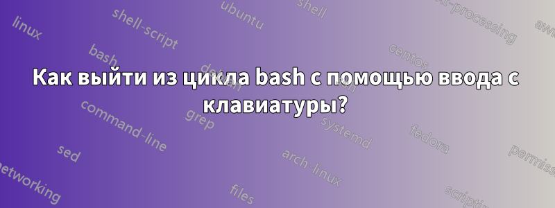 Как выйти из цикла bash с помощью ввода с клавиатуры?