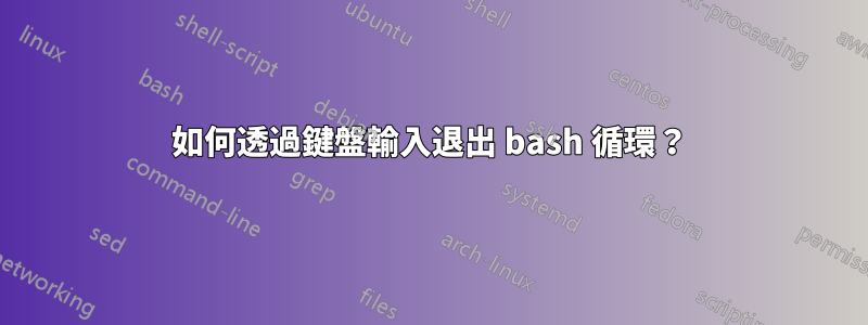 如何透過鍵盤輸入退出 bash 循環？
