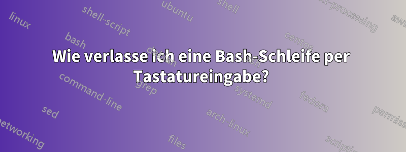 Wie verlasse ich eine Bash-Schleife per Tastatureingabe?