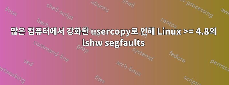 많은 컴퓨터에서 강화된 usercopy로 인해 Linux >= 4.8의 lshw segfaults