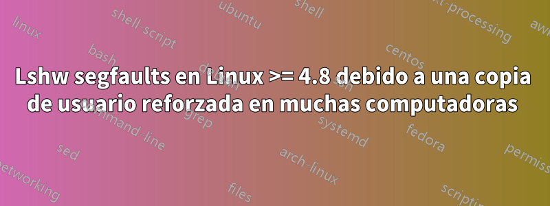 Lshw segfaults en Linux >= 4.8 debido a una copia de usuario reforzada en muchas computadoras