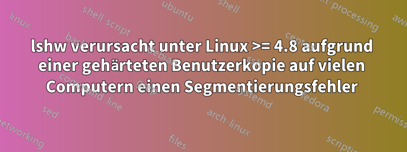 lshw verursacht unter Linux >= 4.8 aufgrund einer gehärteten Benutzerkopie auf vielen Computern einen Segmentierungsfehler