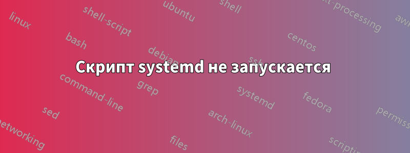 Скрипт systemd не запускается