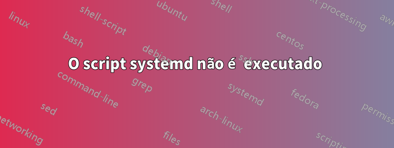 O script systemd não é executado