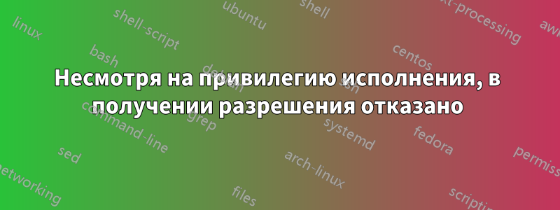 Несмотря на привилегию исполнения, в получении разрешения отказано