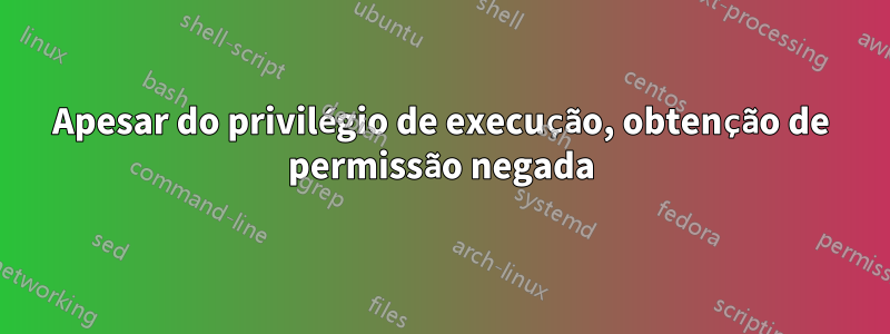 Apesar do privilégio de execução, obtenção de permissão negada