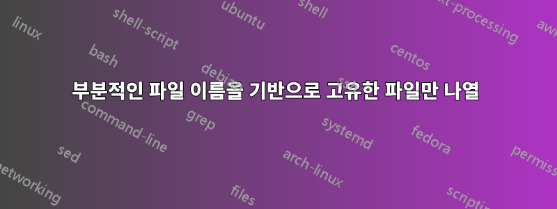 부분적인 파일 이름을 기반으로 고유한 파일만 나열