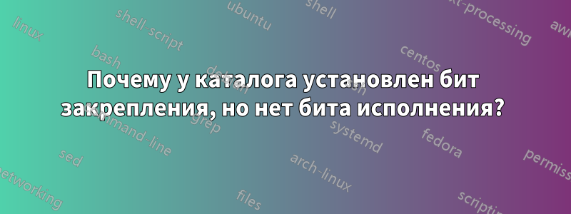 Почему у каталога установлен бит закрепления, но нет бита исполнения?