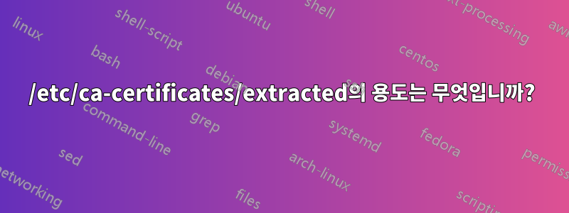 /etc/ca-certificates/extracted의 용도는 무엇입니까?