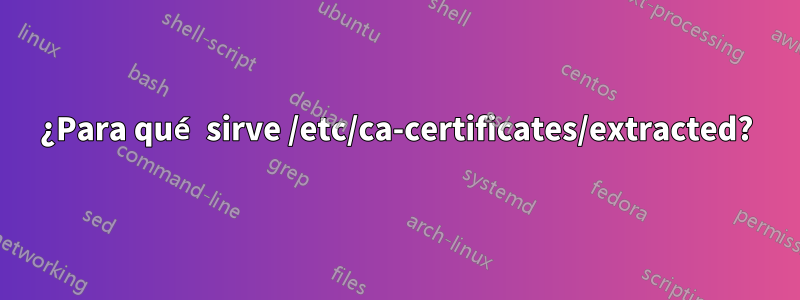 ¿Para qué sirve /etc/ca-certificates/extracted?