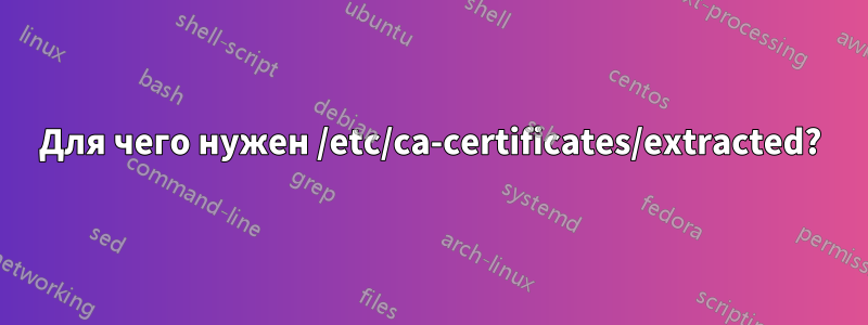 Для чего нужен /etc/ca-certificates/extracted?