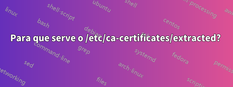 Para que serve o /etc/ca-certificates/extracted?