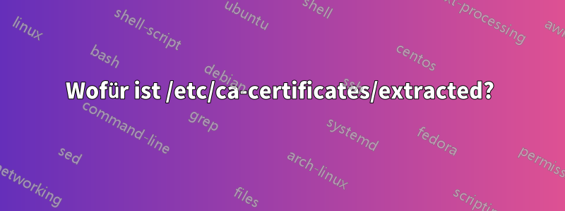 Wofür ist /etc/ca-certificates/extracted?