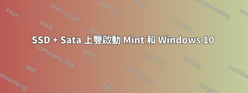 SSD + Sata 上雙啟動 Mint 和 Windows 10