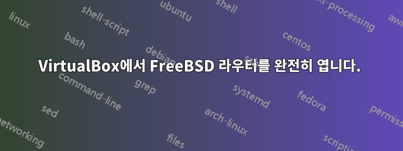 VirtualBox에서 FreeBSD 라우터를 완전히 엽니다.