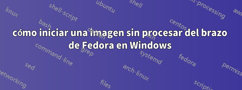 cómo iniciar una imagen sin procesar del brazo de Fedora en Windows