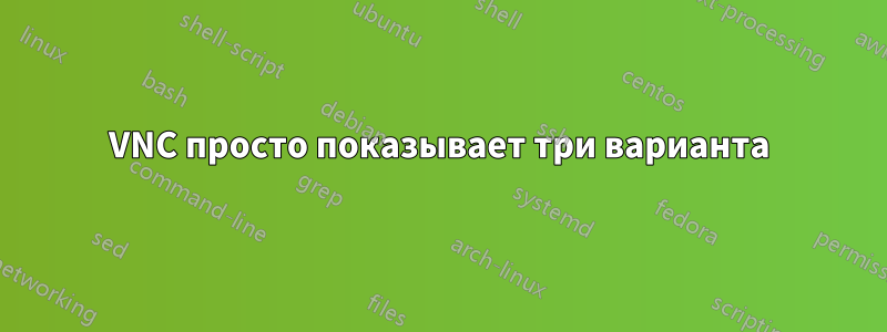 VNC просто показывает три варианта