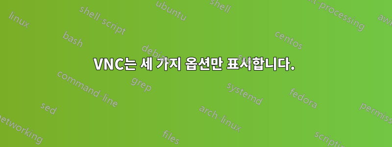 VNC는 세 가지 옵션만 표시합니다.