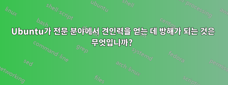 Ubuntu가 전문 분야에서 견인력을 얻는 데 방해가 되는 것은 무엇입니까? 
