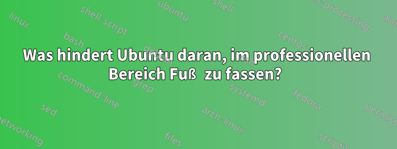 Was hindert Ubuntu daran, im professionellen Bereich Fuß zu fassen? 