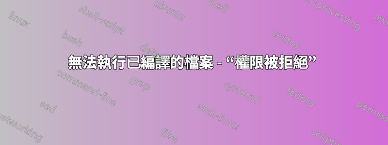 無法執行已編譯的檔案 - “權限被拒絕”