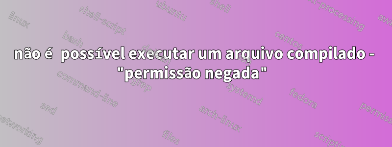 não é possível executar um arquivo compilado - "permissão negada"