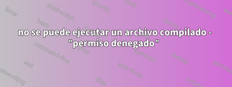 no se puede ejecutar un archivo compilado - "permiso denegado"