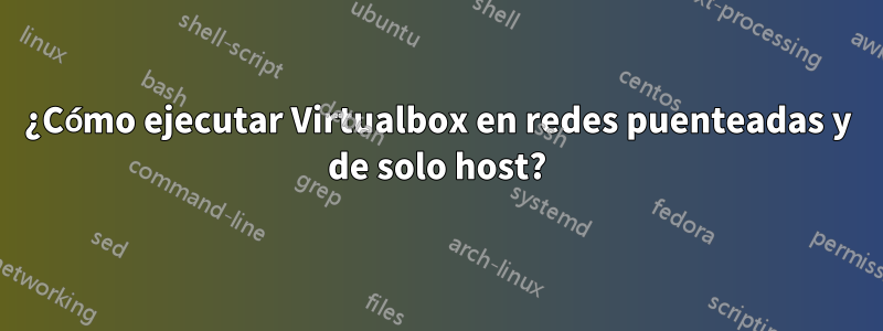 ¿Cómo ejecutar Virtualbox en redes puenteadas y de solo host?