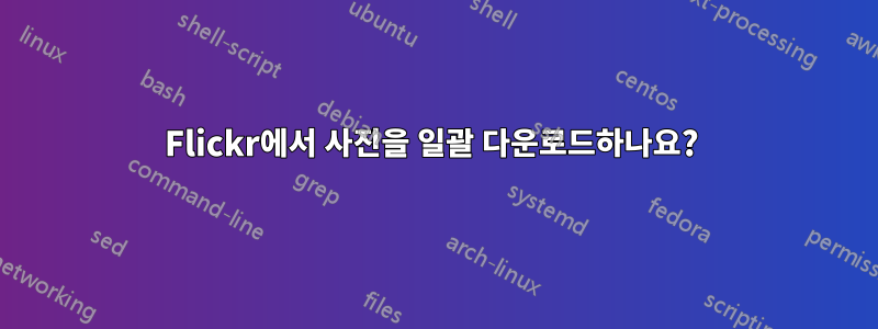 Flickr에서 사진을 일괄 다운로드하나요? 