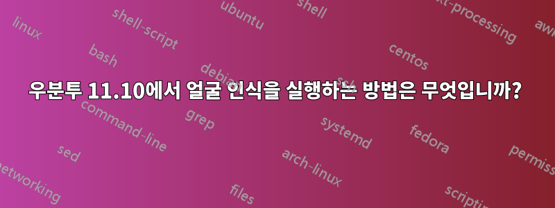 우분투 11.10에서 얼굴 인식을 실행하는 방법은 무엇입니까?